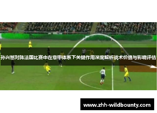 孙兴慜对阵法国比赛中在意甲体系下关键作用深度解析战术价值与影响评估