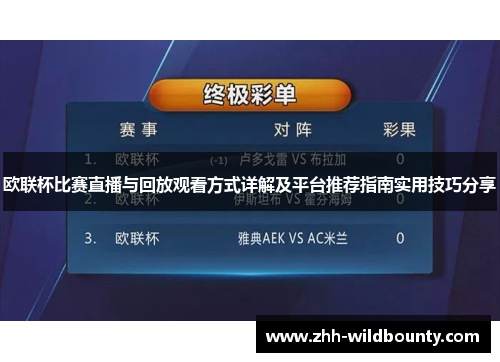 欧联杯比赛直播与回放观看方式详解及平台推荐指南实用技巧分享